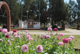 Camping A.M.E.M. - Huanqueros