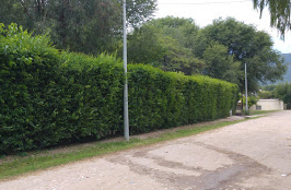 Camping Arboles Grandes - Cosquín