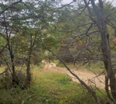 Camping Bosque de los Duendes - Río Turbio