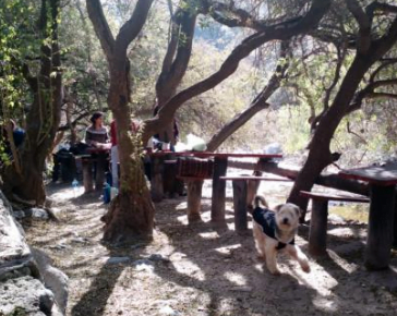 Camping cerro blanco zonda - Zonda
