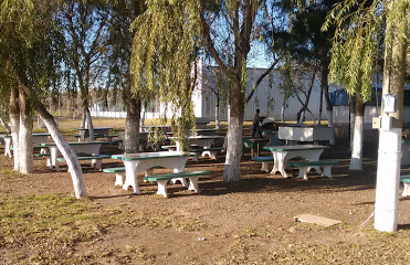 Camping Club de Pescadores los amigos del río - Fighiera