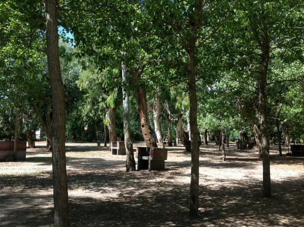 Foto de Camping ACA Mar de Ajó - Mar de Ajó en ACA Mar de Ajó,Mar de Ajó,Buenos Aires