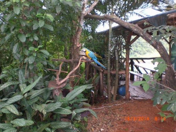 Foto de Camping Agreste Costa Ramón - Puerto Iguazú en Agreste Costa Ramón,Puerto Iguazú,Misiones