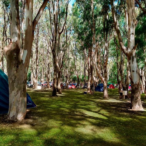 Foto de Camping Americano - Monte Hermoso en Americano,Monte Hermoso,Buenos Aires