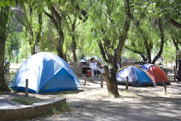 Foto de Camping Ayum Elun - San Rafael en Ayum Elun,San Rafael,Mendoza