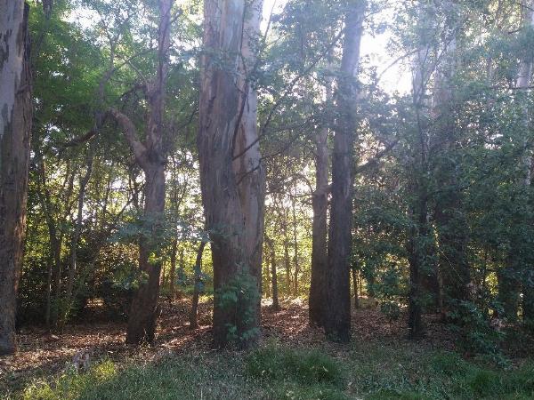 Foto de Camping Biohuellas - Luján en Biohuellas,Luján,Buenos Aires