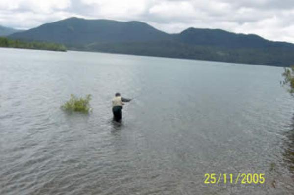 Foto de Camping Brazo Rincón - Villa La Angostura en Brazo Rincón,Villa La Angostura,Neuquén