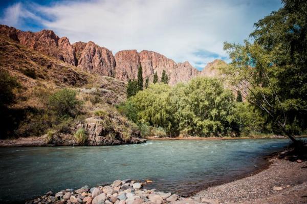 Foto de Camping Carmen - San Rafael en Carmen,San Rafael,Mendoza