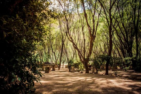 Foto de Camping Carmen - San Rafael en Carmen,San Rafael,Mendoza