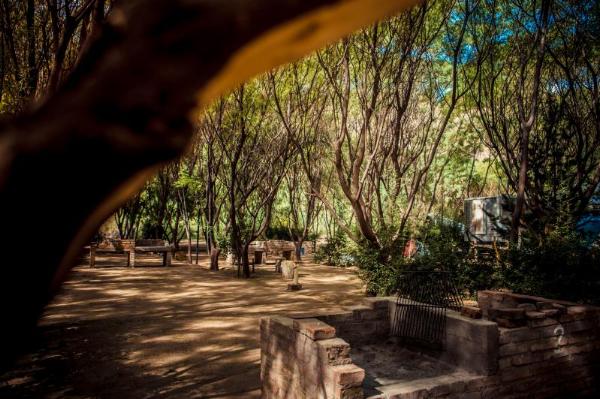 Foto de Camping Carmen - San Rafael en Carmen,San Rafael,Mendoza