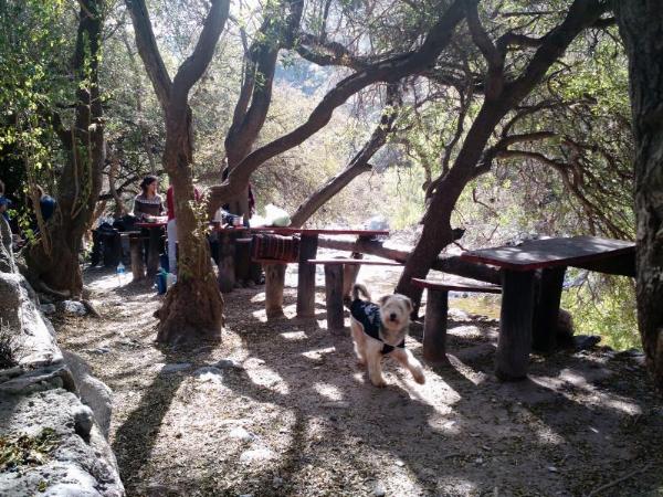 Foto de Camping Cerro Uritorco San Rafael - Capilla del Monte en Cerro Uritorco San Rafael,Capilla del Monte,Córdoba