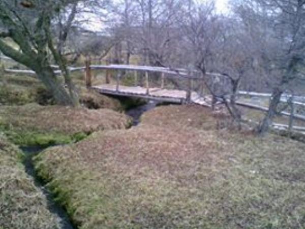 Foto de Camping Chimen Aike - Río Pico en Chimen Aike,Río Pico,Chubut