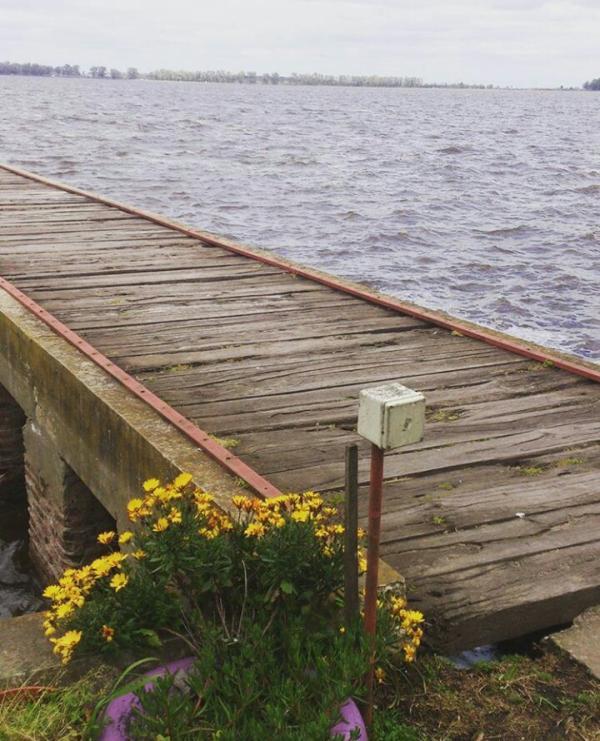 Foto de Camping Club de Pesca - San Miguel del Monte en Club de Pesca,San Miguel del Monte,Buenos Aires