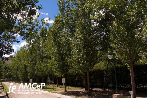 Foto de Camping Complejo Recreativo AMCEP - Valle Hermoso en Complejo Recreativo AMCEP,Valle Hermoso,Córdoba