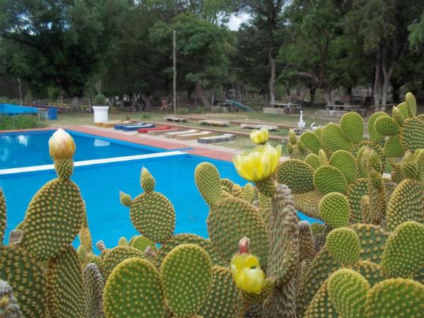 Foto de Camping Costa del Río - Santa Florentina en Costa del Río,Santa Florentina,La Rioja