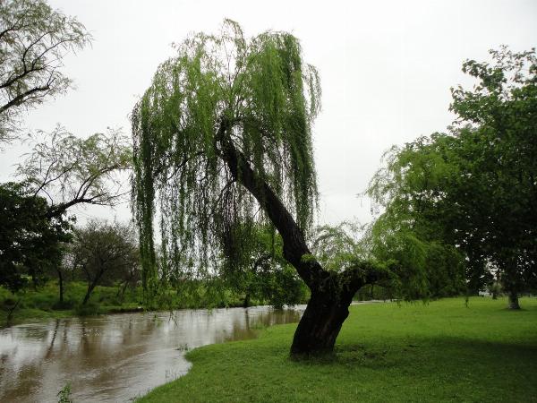 Foto de Camping Del Arroyo - Colón en Del Arroyo,Colón,Entre Ríos