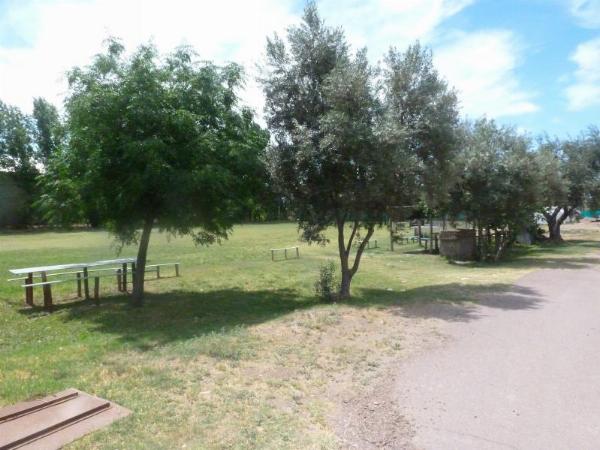 Foto de Camping del Este - San Martín en del Este,San Martín,Mendoza