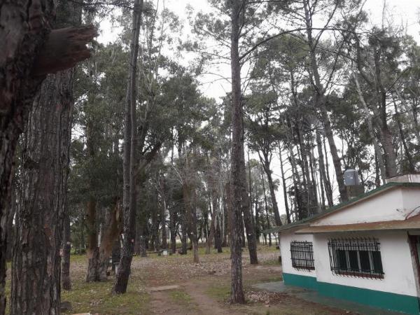 Foto de Camping Dimitri - San Bernardo en Camping Dimitri San Bernardo, Partida de la Costa, Hernández, San Bernardo, Buenos Aires, Argentina
