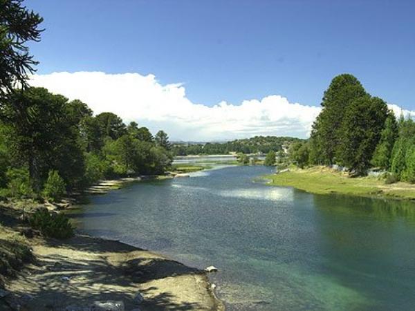 Foto de Camping Don Cirilo - Villa Pehuenia en Don Cirilo,Villa Pehuenia,Neuquén