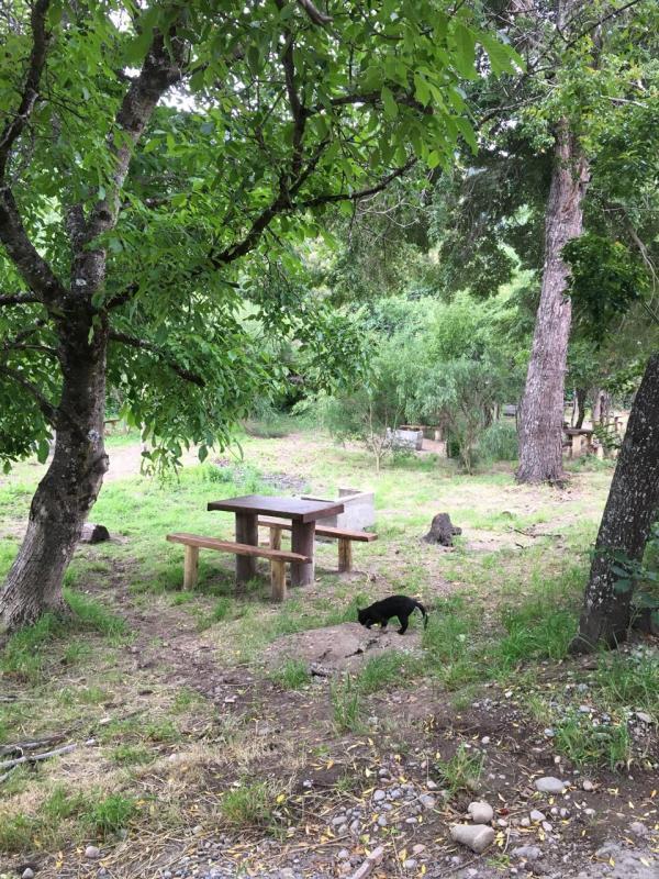 Foto de Camping Don Julio - Lago Puelo en Don Julio,Lago Puelo,Chubut