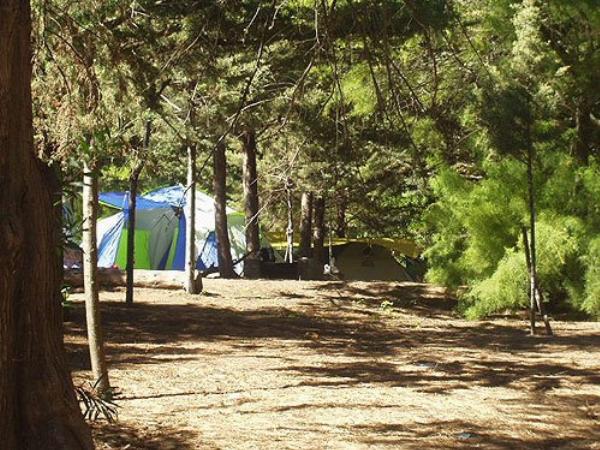 Foto de Camping Dunamar - Claromecó en Dunamar,Claromecó,Buenos Aires