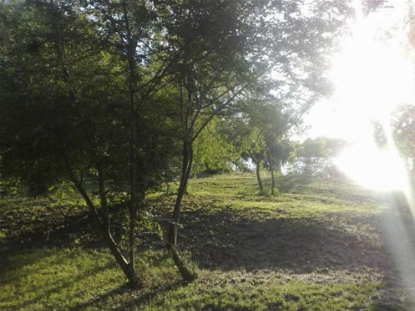 Foto de Camping El Dorado - Zárate en El Dorado,Zárate,Buenos Aires