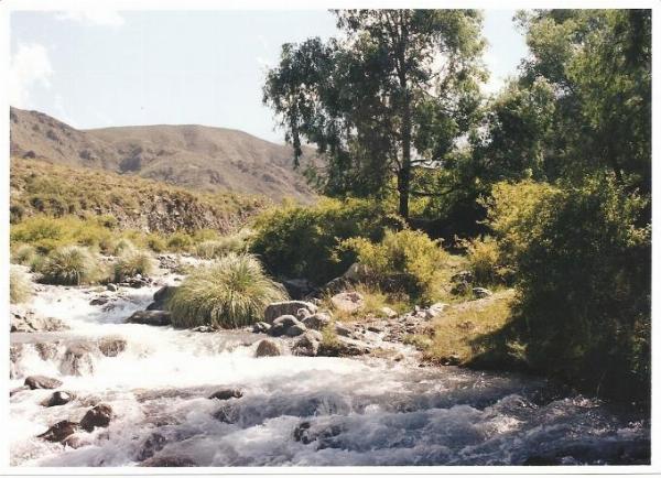 Foto de Camping El Montañes - Potrerillos en El Montañes,Potrerillos,Mendoza