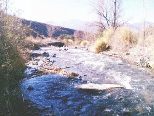 Foto de Camping El Montañes - Potrerillos en El Montañes,Potrerillos,Mendoza