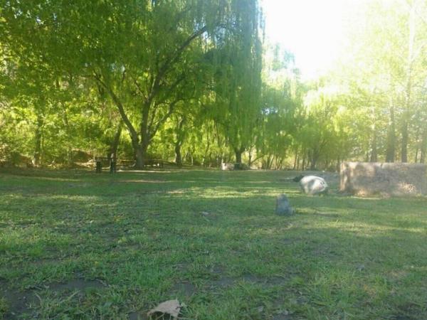 Foto de Camping El Montañes - Potrerillos en El Montañes,Potrerillos,Mendoza