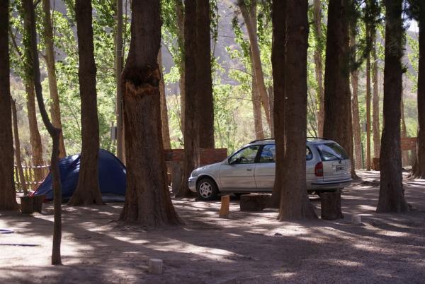 Foto de Camping El Sauce - San Rafael en El Sauce,San Rafael,Mendoza