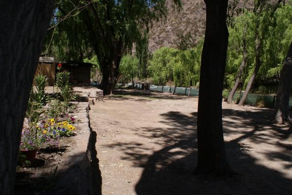 Foto de Camping El Sauce - San Rafael en El Sauce,San Rafael,Mendoza