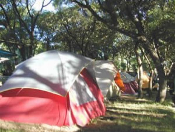 Foto de Camping El Tala - Villa Cura Brochero en El Tala,Villa Cura Brochero,Córdoba