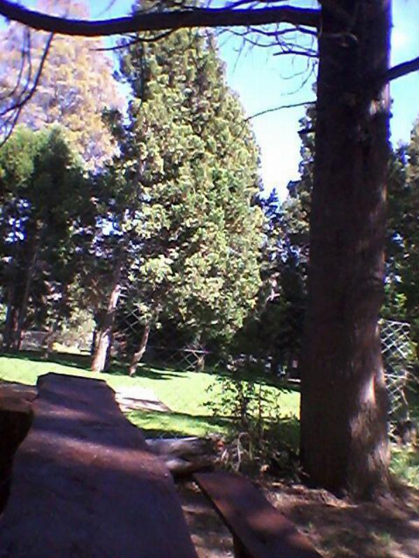 Foto de Camping El Yeti - Bariloche en Camping El Yeti, San Carlos de Bariloche, Río Negro, Argentina