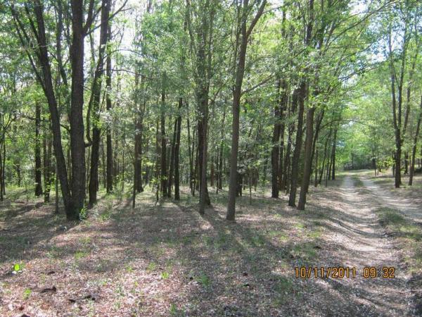 Foto de Camping Granja Ecológica Veilchental - Villa General Belgrano en Granja Ecológica Veilchental,Villa General Belgrano,Córdoba