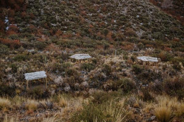 Foto de Camping Hostcamp - Potrerillos en Hostcamp,Potrerillos,Mendoza