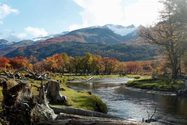 Foto de Camping Kelenkeskes - Ushuaia en Kelenkeskes,Ushuaia,Tierra del Fuego