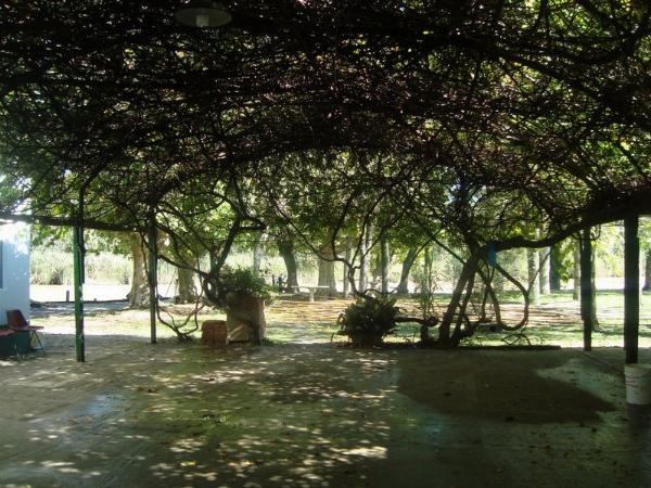 Foto de Camping La Primavera - Campana en La Primavera,Campana,Buenos Aires