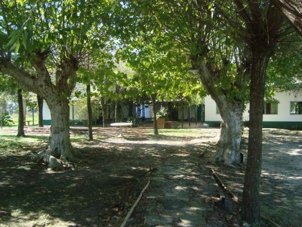 Foto de Camping La Primavera - Campana en La Primavera,Campana,Buenos Aires