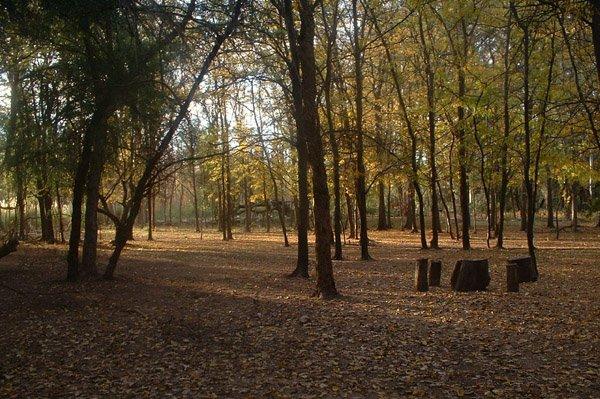 Foto de Camping La Serrana - Nogolí en La Serrana,Nogolí,San Luis