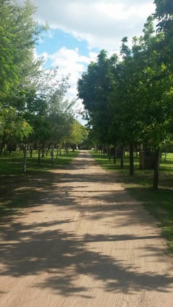 Foto de Camping La Sorpresa - Merlo en La Sorpresa,Merlo,San Luis