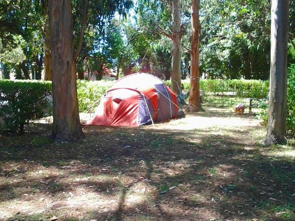 Foto de Camping Las Brusquitas - Miramar en Las Brusquitas,Miramar,Buenos Aires