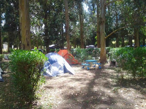Foto de Camping Las Brusquitas - Miramar en Las Brusquitas,Miramar,Buenos Aires