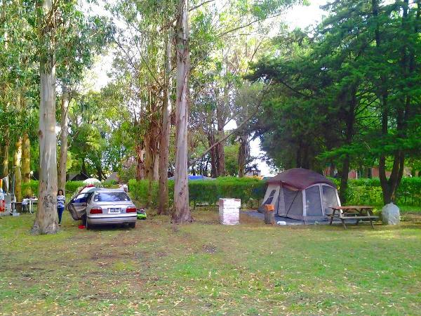 Foto de Camping Las Brusquitas - Miramar en Las Brusquitas,Miramar,Buenos Aires