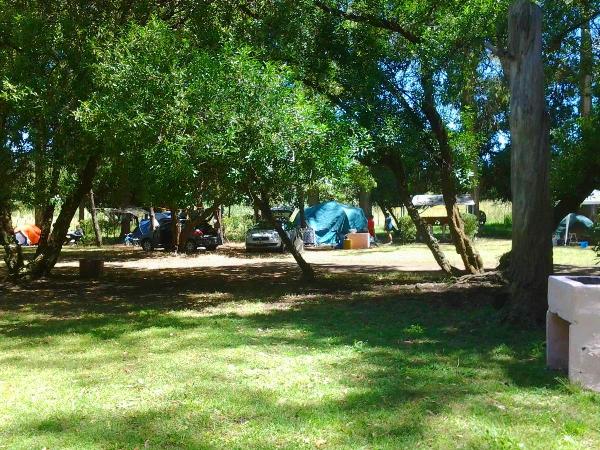 Foto de Camping Las Brusquitas - Miramar en Las Brusquitas,Miramar,Buenos Aires