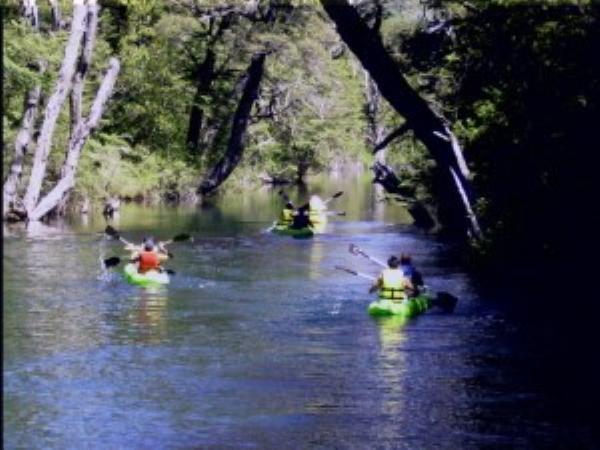 Foto de Camping Ave Fénix - El Bolsón en Ave Fénix,El Bolsón,Río Negro