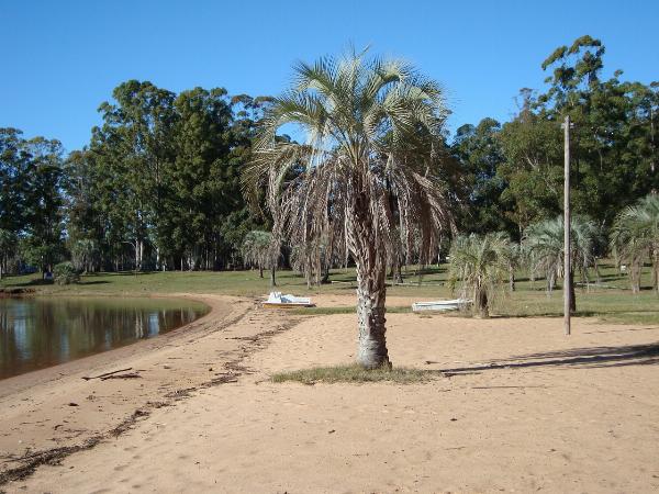 Foto de Camping Las Palmeras - Concordia en Las Palmeras,Concordia,Entre Ríos
