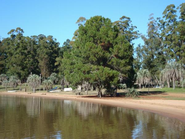Foto de Camping Las Palmeras - Concordia en Las Palmeras,Concordia,Entre Ríos