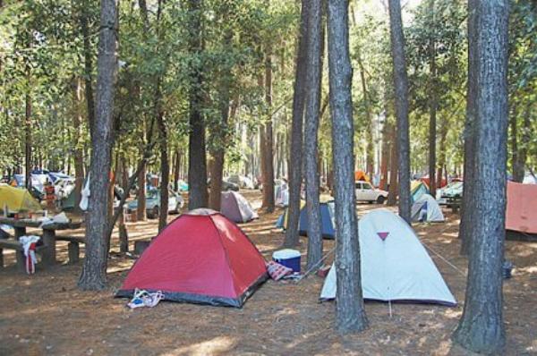 Foto de Camping Las Tejas - Campana en Las Tejas,Campana,Buenos Aires