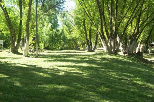 Foto de Camping Los Alazanes - Centenario en Los Alazanes,Centenario,Neuquén