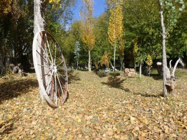 Foto de Camping Los Alazanes - Centenario en Los Alazanes,Centenario,Neuquén